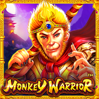 vs243mwarrior